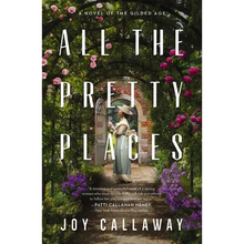 The All the Pretty Places: A Novel of the Gilded Age